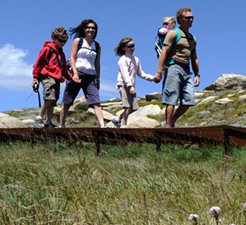 walks-overview