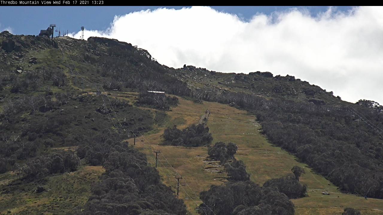 Live snow cam for Thredbo at Mid Supertrail