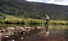 Fly Fishing Season