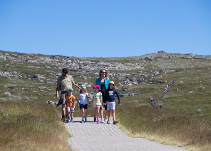 mythredbo thredbo mymoney account