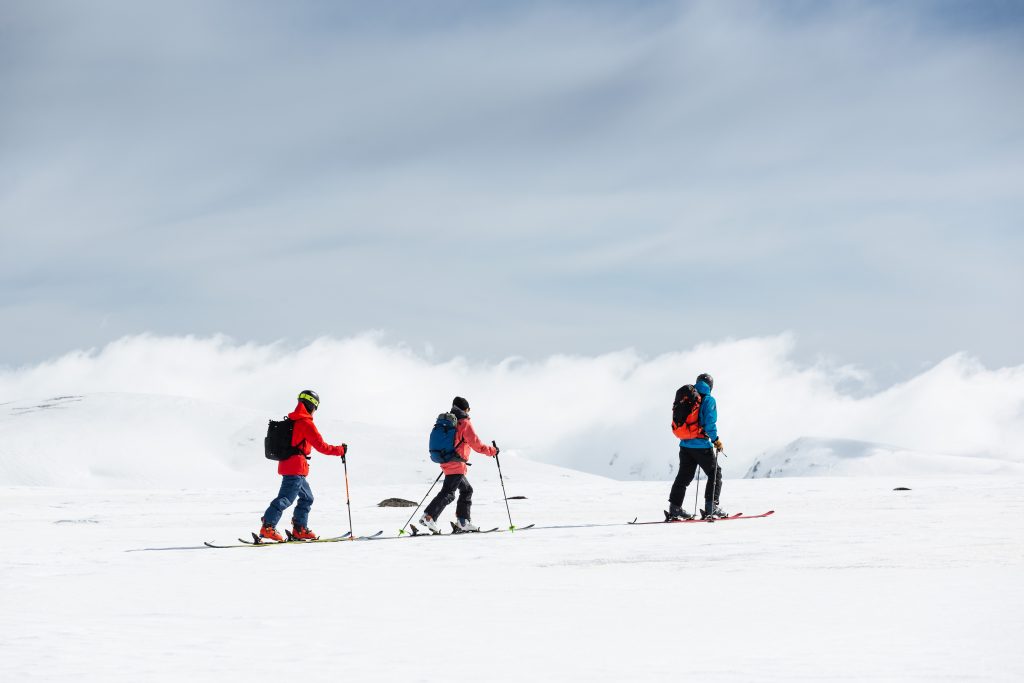 north face ski valley dress