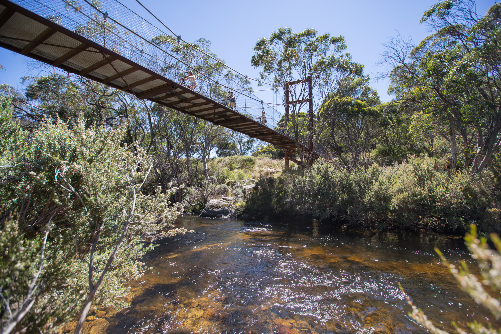 Thredbo Valley Track