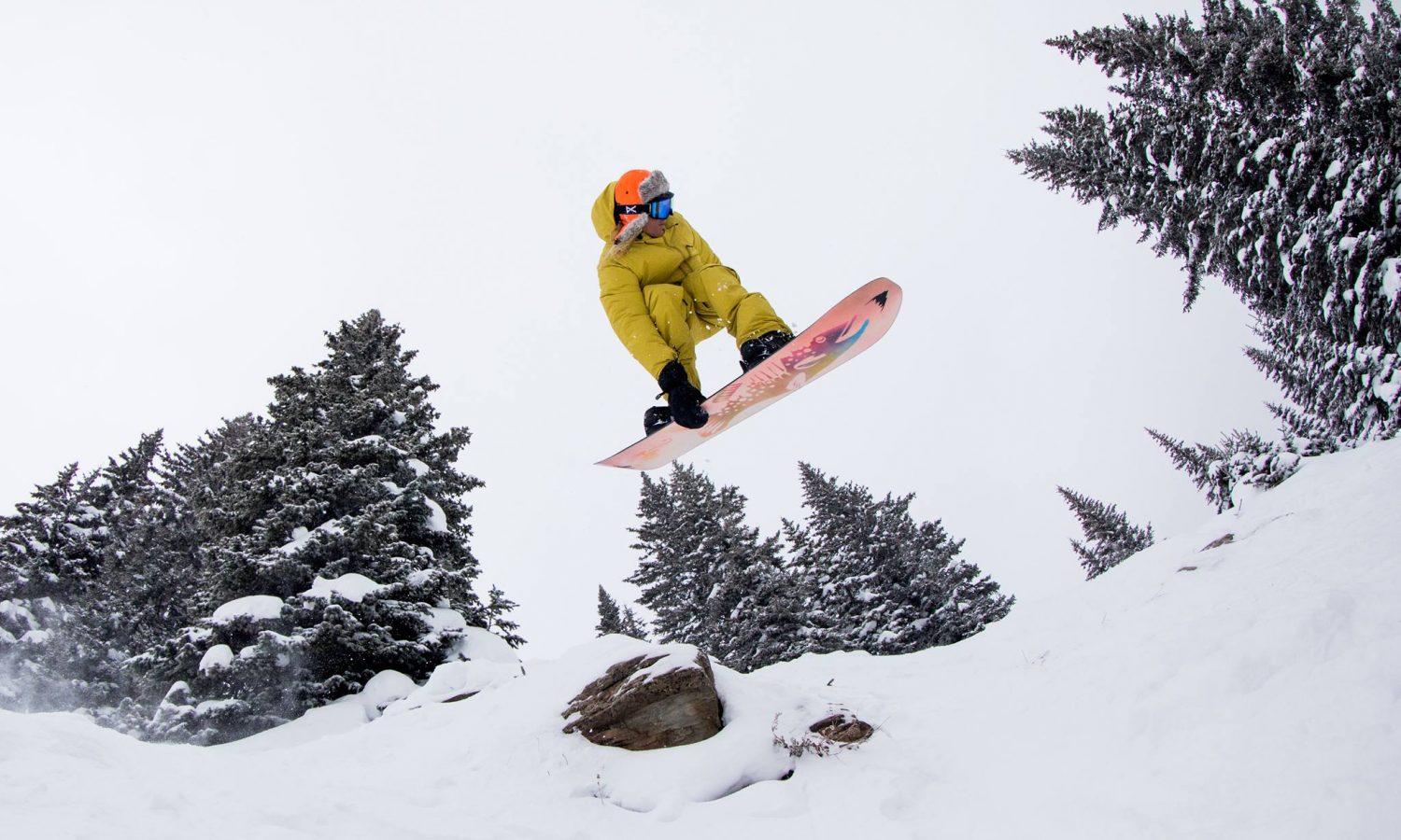 burton step on demo